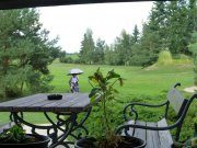 1. m�sto - 113 hlas� - V�ra BAB�ICK�