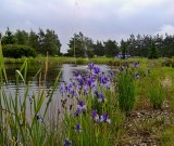 3. m�sto - 13 hlas� - Ji�ina ANTON�NOV�